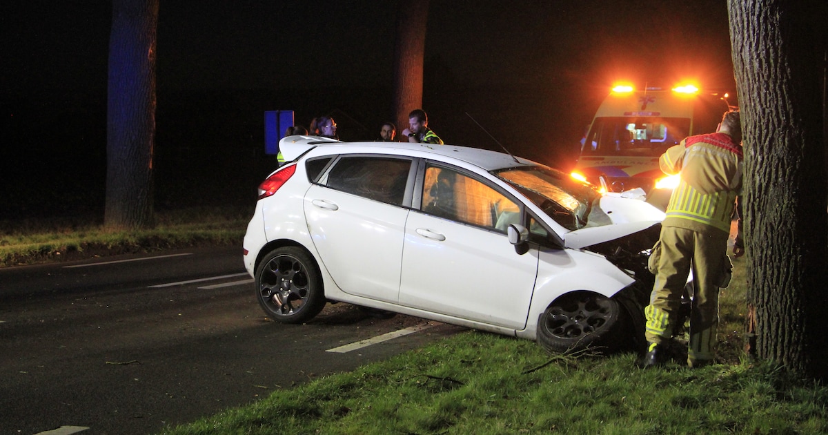 Auto botst tegen boom langs Roermondseweg in Weert