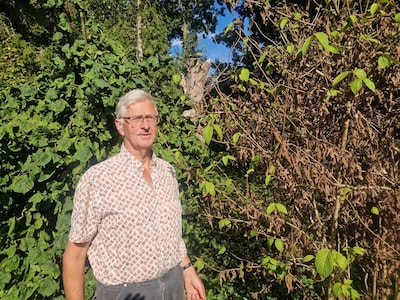 Na extreme natheid kwam extreme droogte: ecoloog Van der Putten ziet overal in de natuur chaos en st