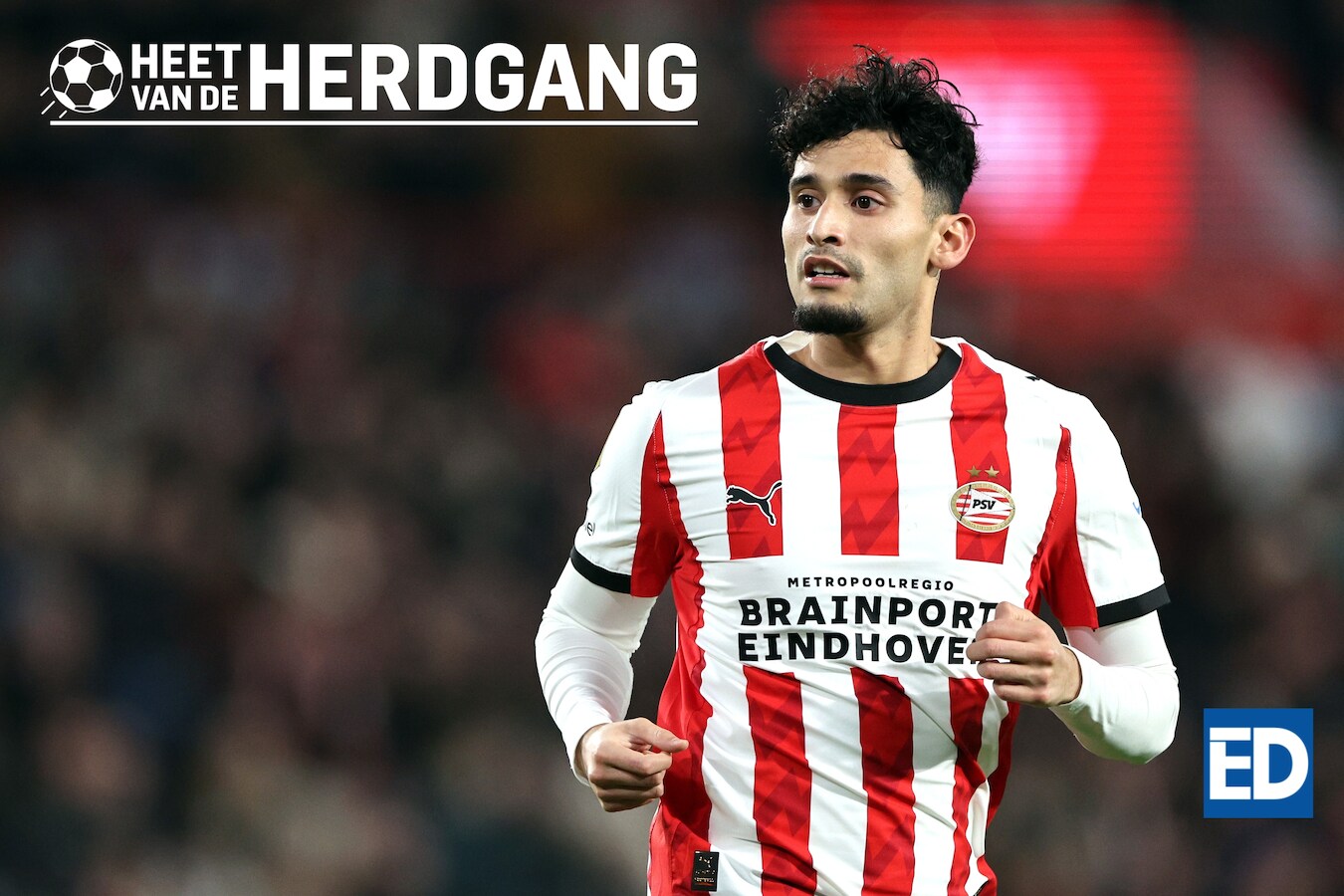 Heet van de Herdgang | ‘Uiteindelijk moet je niet te veel kneusjes in ...