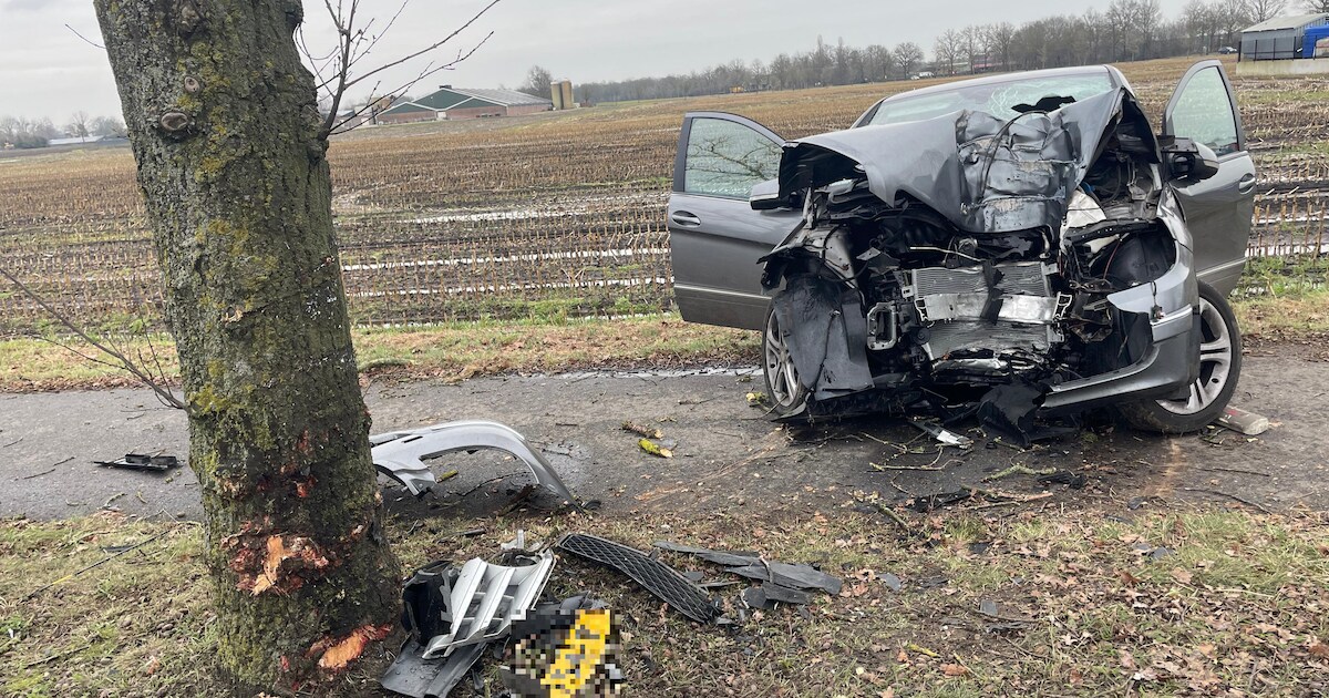 Automobilist (81) uit Budel overlijdt bij botsing tegen boom