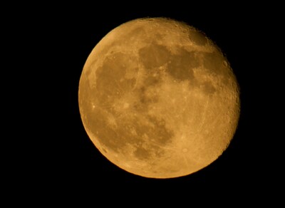 Wandelen in Peel bij volle maan