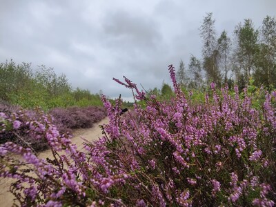 Natuurfilm bij IVN Asten-Someren