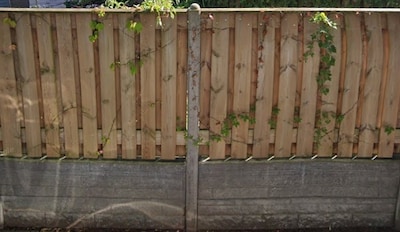 Helmonders gepikeerd om boetes voor te hoge schuttingen