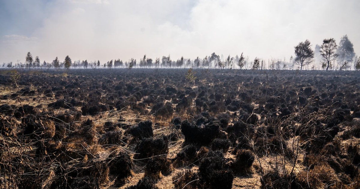 Natuurbrand in de Peel onder controle, rookoverlast kan lang aanhouden