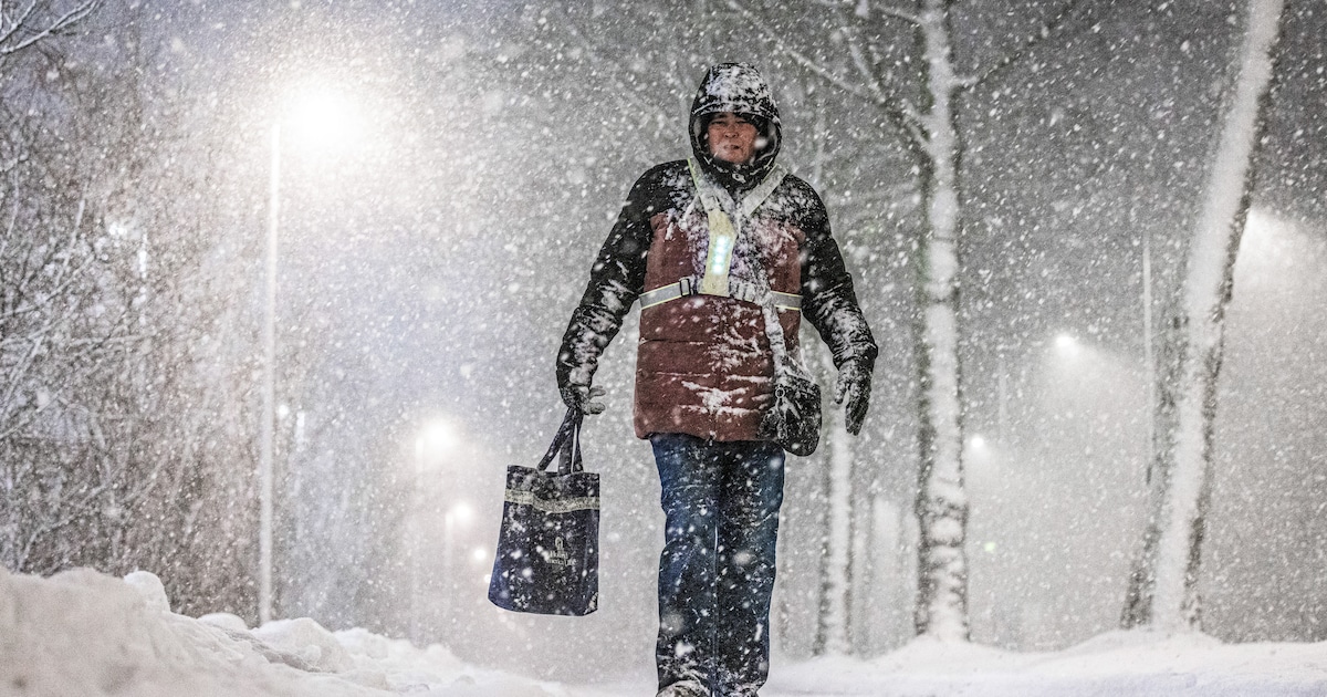 LIVE Sneeuw in Brabant | Sneeuwbuien trekken over Brabant: drukste woensdagochtendspits in jaren, ge