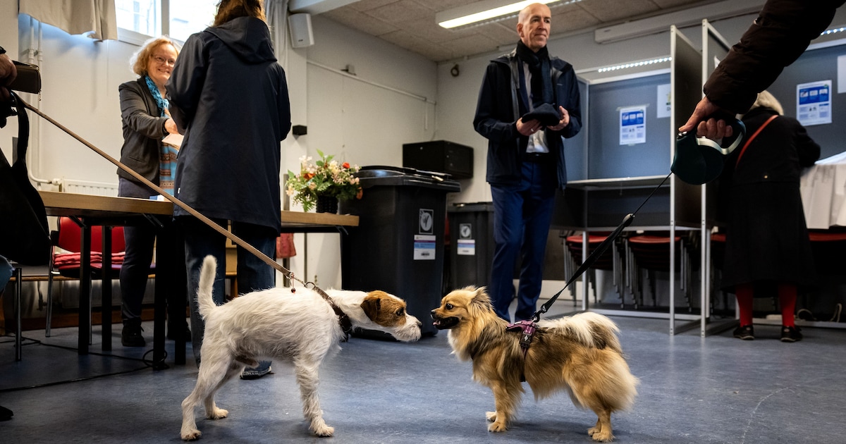 Zo stemde Veldhoven: meeste kiezers voor VVD, maar in deze wijk haalde de PVV 33 procent van alle st
