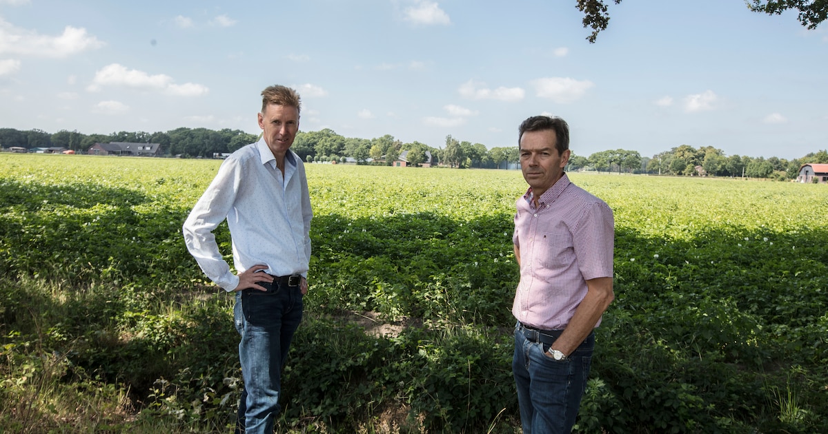 Grote onrust om plan proeftuin Elsendorp; mogelijk negatieve financiële consequenties