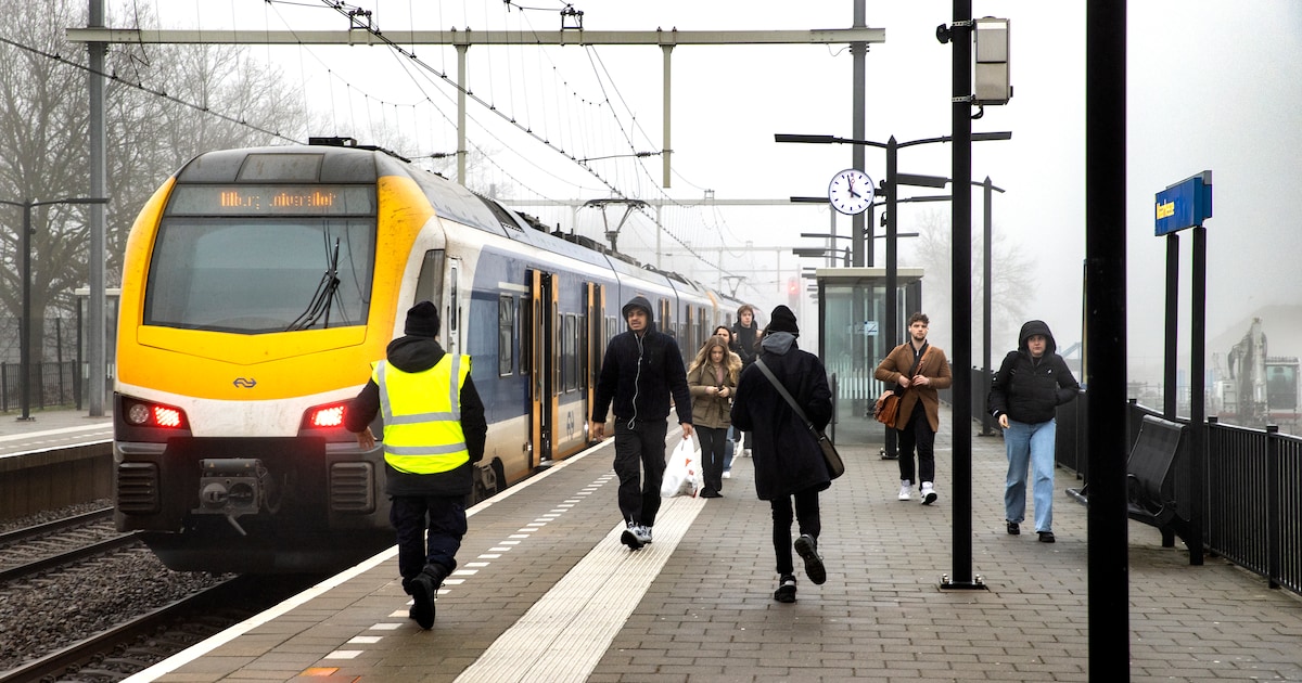 Meer dan 3000 ‘ongewenste situaties’ in jaar tijd op station Maarheeze, kabinet trekt 2,3 miljoen ui