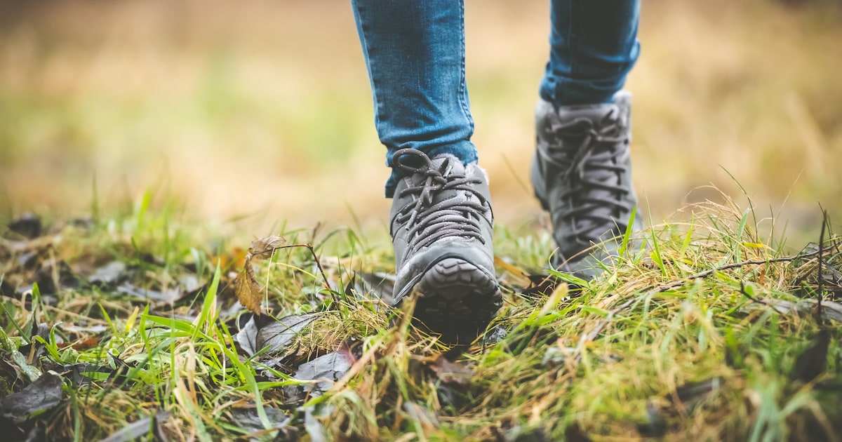 IVN Asten-Someren houdt wandeling in Deurnese Peel met gidsen