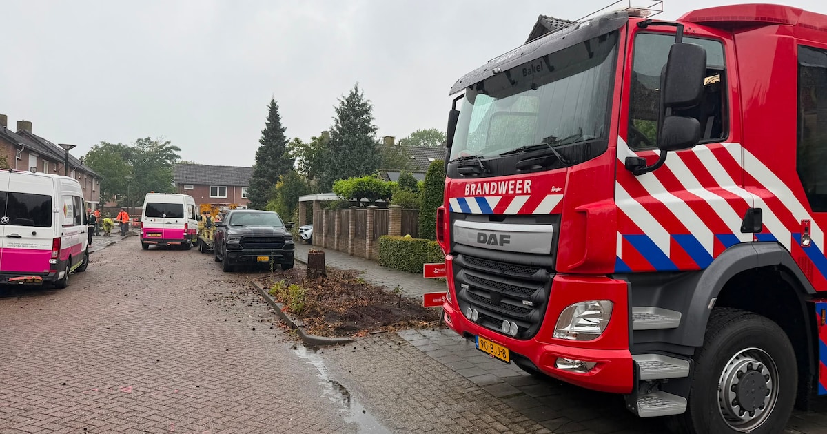 Fors gaslek bij verwijderen boom in Bakel, Enexis sluit gastoevoer af