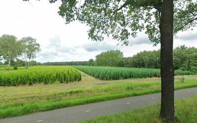 Bouwplan Vosven Knegsel akkoord, raad wil aandacht voor groen en verkeersveiligheid
