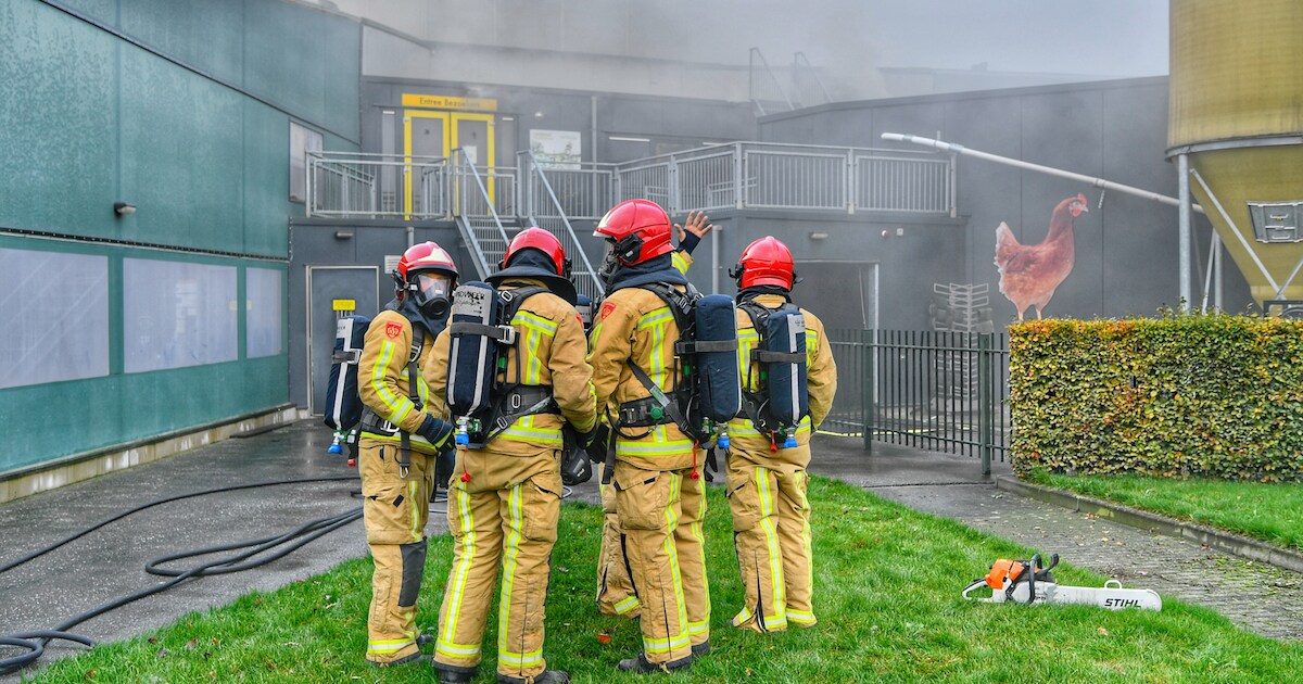 Grote brand in leegstaande kippenstal in Wintelre