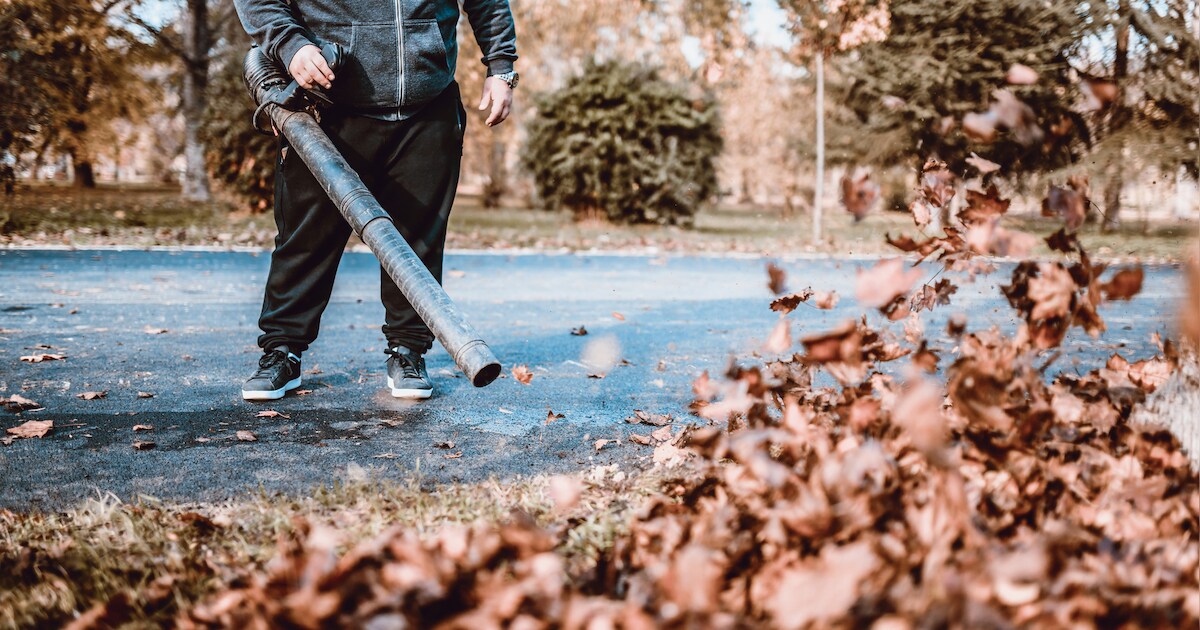 Gemeente Waalre plaatst tuinkorven voor blad en snoeiafval