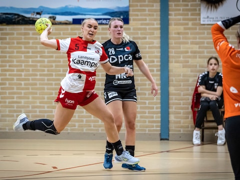 Uitslagen en verslagen handbal: DSVD lijdt forse nederlaag, Stevo wint topduel van Dalfsen