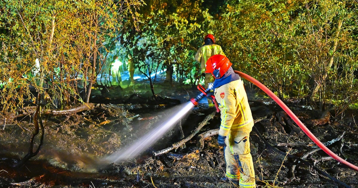 Brandweer blust korte maar felle brand in bossen bij Riethoven