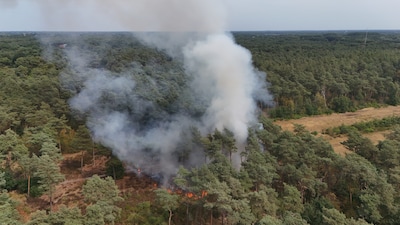Grote brand in natuurgebied tussen Rosmalen en Nuland, brandweer rukt massaal uit
