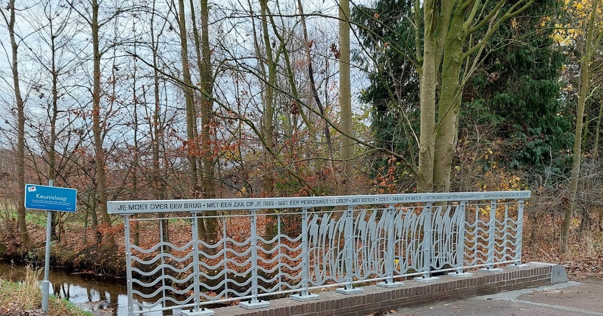 Vernieuwde brugleuningen Bergeijk: verhalen over landschap, water en geschiedenis