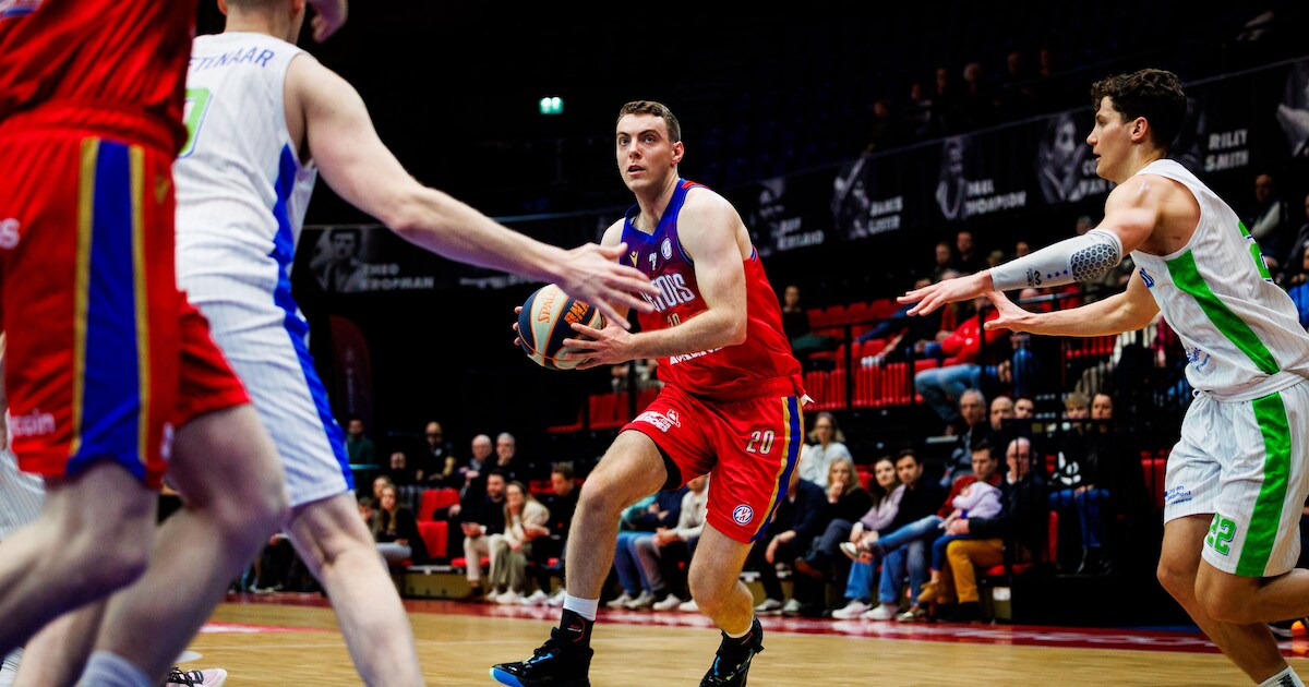 Helmondse basketballer Luuk van Bree kan met Heroes Den Bosch geen ...